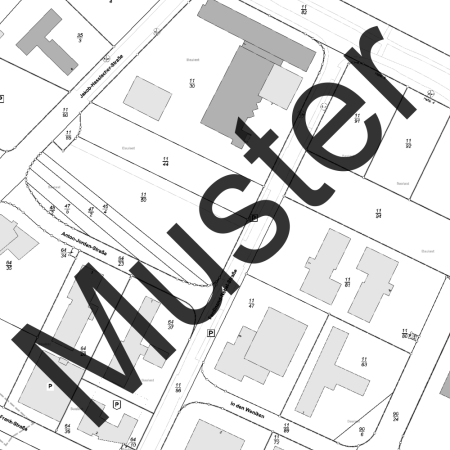 Liegenschaftskarte Standard (Ausschnitt)