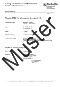 Flurstücks- und Eigentümernachweis (Auszug)
