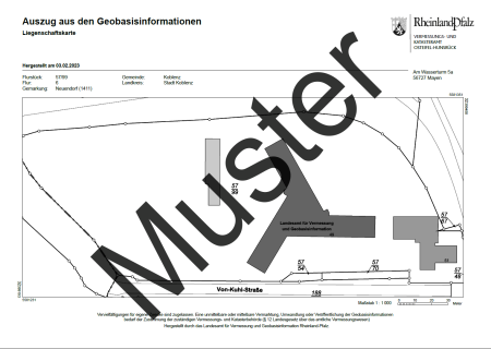 Liegenschaftskarte Standard (Auszug)