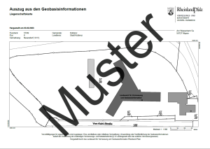 Liegenschaftskarte Standard (Auszug)