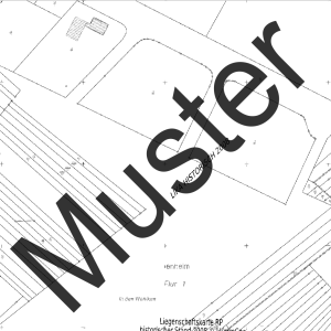 Liegenschaftskarte Standard (Ausschnitt)