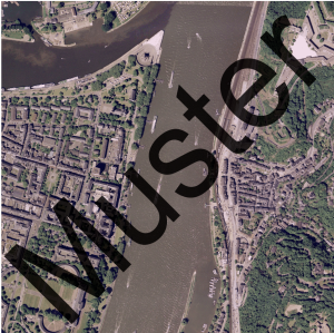 Orthofoto DOP20 (historischer Stand 2001)