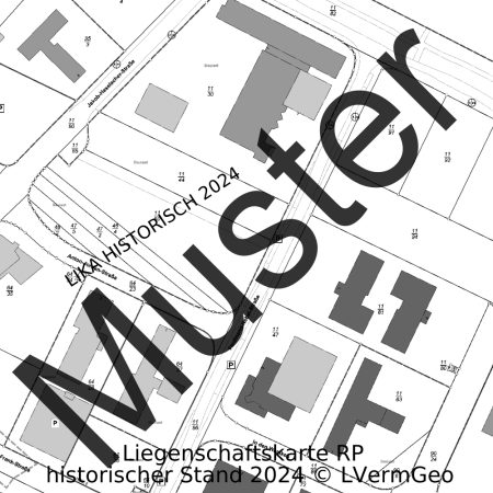 Liegenschaftskarte Standard (Ausschnitt)