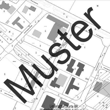 Liegenschaftskarte Standard (Ausschnitt)