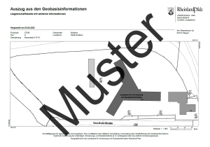 Liegenschaftskarte mit weiteren Informationen (Auszug)