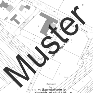 Liegenschaftskarte Standard (Ausschnitt)