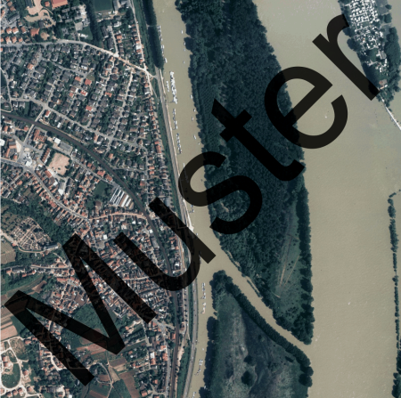 Orthofoto DOP20 (historischer Stand 1999)