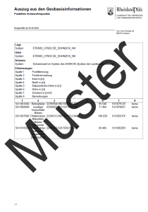 Punktliste Schwerefestpunkte des vermessungstechnischen Raumbezugs (Auszug)