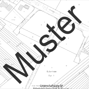 Liegenschaftskarte Standard (Ausschnitt)