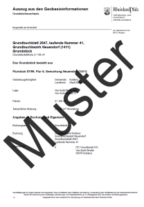 Grundstücksnachweis (Auszug)