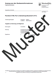 Eigentümernachweis (Auszug)