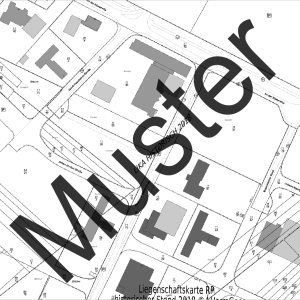 Liegenschaftskarte Standard (Ausschnitt)