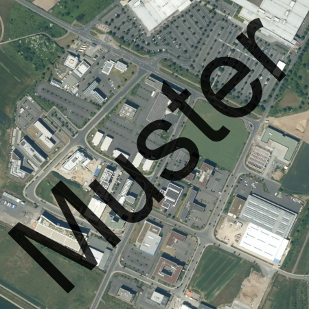 Digitale Orthophotos (historischer Stand 2023)