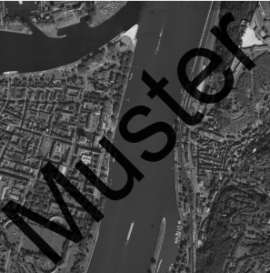 Orthofoto DOP20 (historischer Stand 1996)