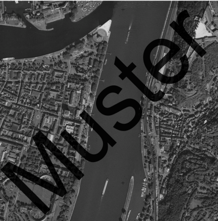 Orthofoto DOP20 (historischer Stand 1996)